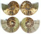 Lot: to Cut Ammonite Pairs (Grade B/C) - Pairs #77332-3
